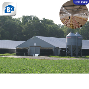 Service complet pour élevage de poules pondeuses, <span class=keywords><strong>cage</strong></span> pour 1000 poulets, conception de poulailler pour élevage de poules pondeuses - Product Image 5