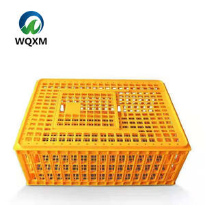 Nuovo prodotto professionale di plastica gabbie per il trasporto di polli dal vivo uccello che porta le casse di uccelli per la vendita di trasporto di alta qualità - Product Image 6