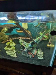 38Cm <span class=keywords><strong>15</strong></span> Inch <span class=keywords><strong>Aquarium</strong></span> Pincet Reptiel Roestvrijstalen Rechte En Gebogen Lange Tweezer Voor <span class=keywords><strong>Aquarium</strong></span> - Product Image 6