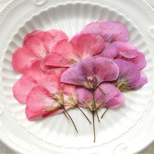 ดอกเจอเรเนียมแบบแยกชิ้นพร้อมก้านดอกกดแห้งสำหรับงานเรซิ่นอีพ็อกซี่ งานเทียน และกรอบรูป - Product Image 1