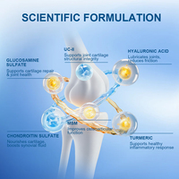 Compléments alimentaires pour les articulations Perseek Private Label Glucosamine MSM Chondroïtine Sulfate en comprimés pour adultes, non destinés aux adolescents, aux femmes enceintes