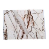 Azulejos de techo de Pvc, Color Mármol, Interior, 400mm, estampado en caliente