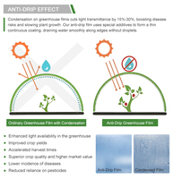 Film de serre à lumière diffusée PO, durable, anti-goutte, anti-buée, stabilisé aux UV, film agricole découpable, durée de vie de 5 ans