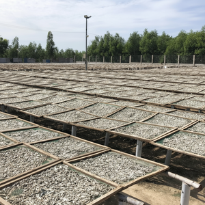 Exportación de anchoas secas: un producto seleccionado por su conveniencia, sabor natural, exquisitez y precio preferencial - Product Image 1