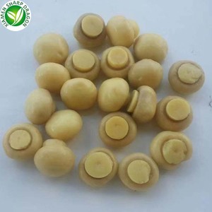 Sắc nét rồng hữu cơ thương hiệu tốt nhất bán buôn toàn Bộ muối đóng hộp champignon Nấm - Product Image 4