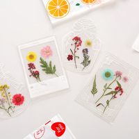 Fleurs séchées naturelles miniatures mélangées pour DIY, décoration de cadres de téléphone, nail art, Noël, remise de diplôme – Matériel DIY