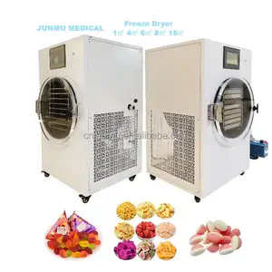 Small vacuum freeze dryer freeze dryer oil free pump candy freeze drying machine