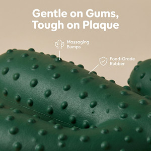 ของเล่นสุนัขแบบอินเทอร์แอคทีฟ ทนทานต่อการกัด ทำจากยางรูปทรงกระบองเพชร สำหรับฝึกสุนัขและทำความสะอาดฟัน - Product Image 5