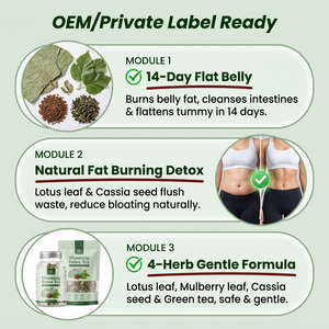 Bebida Herbal Suave para la Digestión, Mezcla de Loto y Morera, Sin Cafeína, para <span class=keywords><strong>el</strong></span> Equilibrio Diario, en Bolsitas - Product Image 3