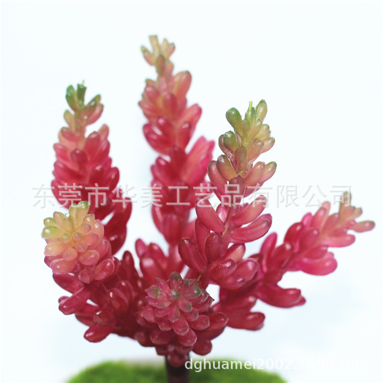 Autumn color without pot