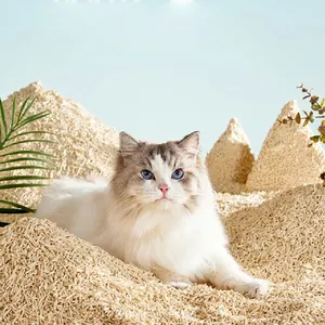pet waste disposal supplies Clay Cat Litter Bulksale Cheap Wholesale Factory Pure Bentonite sand factory for cats other pet products