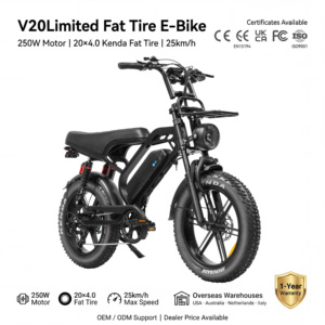 QMHEEL V20Limited 48V <b>Electric</b> Fat Tire Bike <b>Electric</b> City Bike Lithium Battery Hydraulic Brake for Ebike Store Fast Delivery - Product Image 1