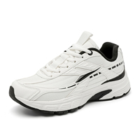 Chaussures de sport décontractées rétro unisexes personnalisées de haute qualité en maille respirante pour hommes