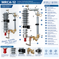 Dispositif combiné intelligent de protection contre les surtensions et de surveillance à distance, tension nominale 12 kV, modèle MRCA-12(Z) pour la distribution
