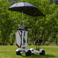 Chariot de golf électrique tout-terrain le plus vendu, mini scooter de golf avec batterie amovible et quatre roues