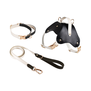 टिन्टाकोर नरम आरामदायक कुत्ते का दोहन और कॉलर पट्टा सेट छोटे/मध्यम/बड़े कुत्तों के लिए कोई पुल समायोज्य बकल - Product Image 4