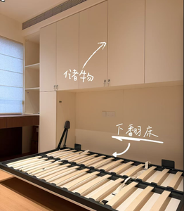 מיטת מרפי מתכתית מודרנית מתכווננת עם עיצוב מיטת קיר מתקפלת, פאנל סִגְנוֹן - Product Image 4