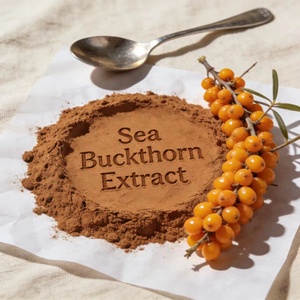 Extrato de Espinheiro Marítimo <span class=keywords><strong>100</strong></span>% Solúvel em Água, Pó de Grau Alimentício, Suplemento Dietético Natural à Base de Ervas para a Saúde Humana em Embalagem de Tambor - Product Image 1