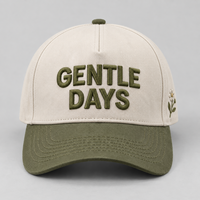 Casquette de baseball 5 panneaux en coton bicolore brodée en 3D avec logo personnalisé, réglable, pour hommes, pour sports de plein air, OEM ODM, vente en gros, usine
