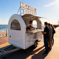 Mobile Personnalisé Pas Cher Pizza Hot Dog Burger Kebab Tacos Poulet Frit Churros Avec Entièrement Équipement De Cuisine