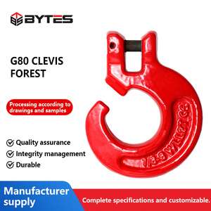 Pièces <span class=keywords><strong>de</strong></span> matériel <span class=keywords><strong>de</strong></span> gréement d'industrie lourde enduites <span class=keywords><strong>de</strong></span> poudre <span class=keywords><strong>de</strong></span> crochet <span class=keywords><strong>de</strong></span> <span class=keywords><strong>forêt</strong></span> <span class=keywords><strong>de</strong></span> chape d'acier allié G80 d'octets - Product Image 2