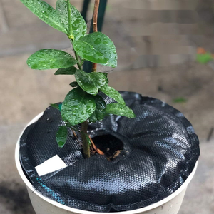 Cây tưới nước Vòng sâu gốc cây tưới nước túi nước Pouch PVC chậm phát hành tưới nước túi cho trồng làm vườn cây - Product Image 5