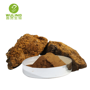 Siberiana salvaje Chaga Extracto de 30%-50% polisacáridos - Product Image 2