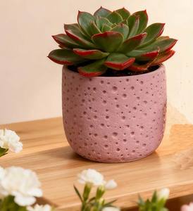 Vaso per <span class=keywords><strong>Piante</strong></span> in Cemento Rotondo con Supporto per Drenaggio Elegante Vaso Rosa in Cemento per <span class=keywords><strong>Piante</strong></span> <span class=keywords><strong>Grasse</strong></span> - Product Image 1