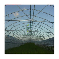 Serre agricole à simple travée 10x50m pour pépinière, en film plastique PE