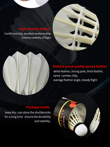 Ensemble de badminton avec queue de navette - Product Image 2