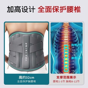 Ceinture de soutien lombaire Zeamo 32 cm, protection de la taille pour adultes pratiquant le fitness - Product Image 3