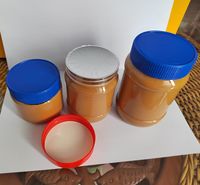 Pâte de Sauce Naturelle Premium Prix Usine Chinoise Faible en Gras Douce et Onctueuse en Gros Bouteille 340g 500g Beurre de Cacahuète Marque TRYONE