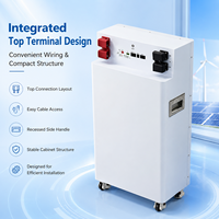 Batería Solar Residencial de Bajo Voltaje 51.2V 314Ah con Corriente de 200A y BMS para Almacenamiento de Energía en el Hogar