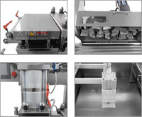 Machine d'emballage automatique de plaquettes plates en PVC Alu-alu DPP-260 pour comprimés, capsules, gélules molles et pilules