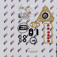 Kit de réparation de pompe d'injecteur de carburant 800470 7135-70 01541 2600 pour Ford 3000 3600 4000 Massey Ferguson 130 158 275 290 298 350
