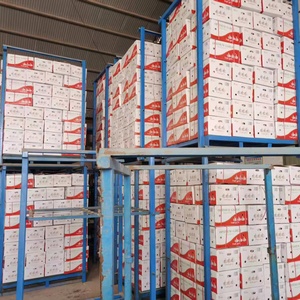 Ajo Blanco Fresco de Alta Calidad para Exportación, Empacado en Caja, Precios de Ajo Fresco Chino, Vegetales, Ali Alho - Product Image 1