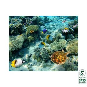 Casa Piastrelle Moderna di Paesaggio <span class=keywords><strong>Pittura</strong></span> su Porcellana Pavimenti in 3d di Ceramica Pavimento di Piastrelle - Product Image 4