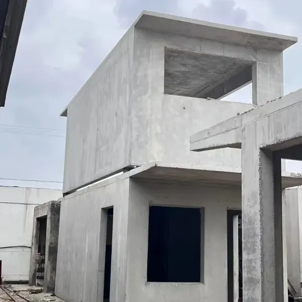 Konstruksi Cepat rumah beton yang diperkuat untuk proyek pendapatan rendah