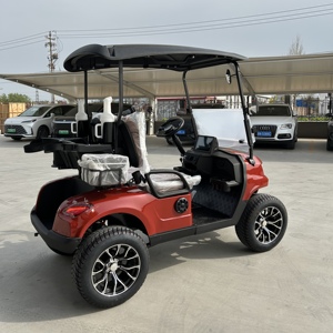 Carrito de Golf Eléctrico de 2 Plazas a Precio de Mayoreo para Campos de Golf, Clubes Campestres, Garantía de por Vida, Buggy de Golf, Vehículo Eléctrico OEM - Product Image 5