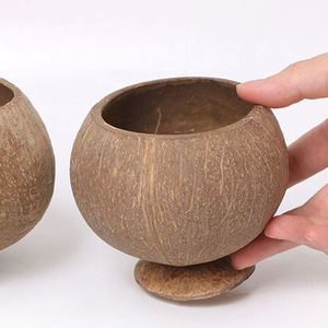 Vasos de Cáscara de Coco Natural para Bebidas en la Playa, Cócteles, Ensaladas, Helados - Product Image 6