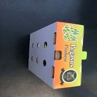 Zoete Verse Pitahaya Fruit Verzending Kartonnen Verpakking Verpakking Dragon Fruit Export Dozen Dozen Doos Voor Vers Fruit