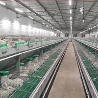 Cages à lapins automatiques de nouvelle conception pour l'élevage commercial, avec nichoir, pour lapines reproductrices