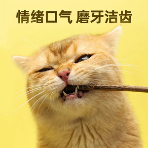 Bâtonnets à mâcher à la catnip Hoopet, 8 pièces, friandises pour le nettoyage des dents des chats - Product Image 3