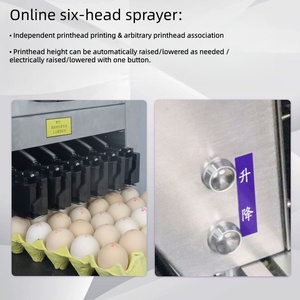Imprimante à <span class=keywords><strong>encre</strong></span> comestible pour œufs, machine de codage de date pour œufs avec <span class=keywords><strong>cartouche</strong></span> <span class=keywords><strong>d</strong></span>'<span class=keywords><strong>encre</strong></span> de qualité alimentaire et convoyeur en acier inoxydable - Product Image 6