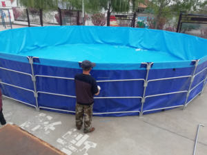 Couleur personnalisable 2m-équipement d'aquiculture de stockage durable rectangulaire de PVC de HDPE d'<span class=keywords><strong>aquarium</strong></span> - Product Image 5