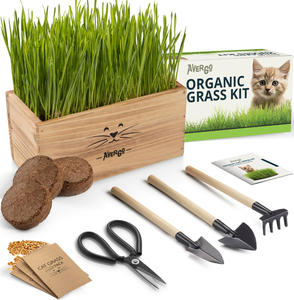Kit d'herbe à chat biologique pour <span class=keywords><strong>chats</strong></span> d'intérieur 4X paquets avec outils de plantation et jardinière facile à cultiver herbe de blé nourriture pour animaux de compagnie - Product Image 5