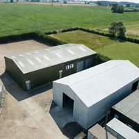 Edificio de Almacenamiento Prefabricado de Estructura de Acero Ligero Moderno para Taller Industrial, Escuela, Apartamento, Centro Comercial y Almacenamiento al Aire Libre