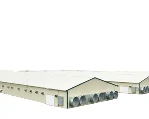 Qingdao cheap modular modern light steel structure poultry factory for layer and broiler chicken shed