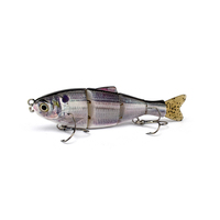 Section colorée Shad avec queue souple original usine pêche leurres d'eau salée appâts vente en gros oem pêche leurres swimbait
