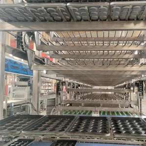 Versatile e Affidabile Fermentatore a Oscillazione per Toast e Baguette, Efficiente per la Lievitazione di <span class=keywords><strong>Hamburger</strong></span> e Baguette - Product Image 4